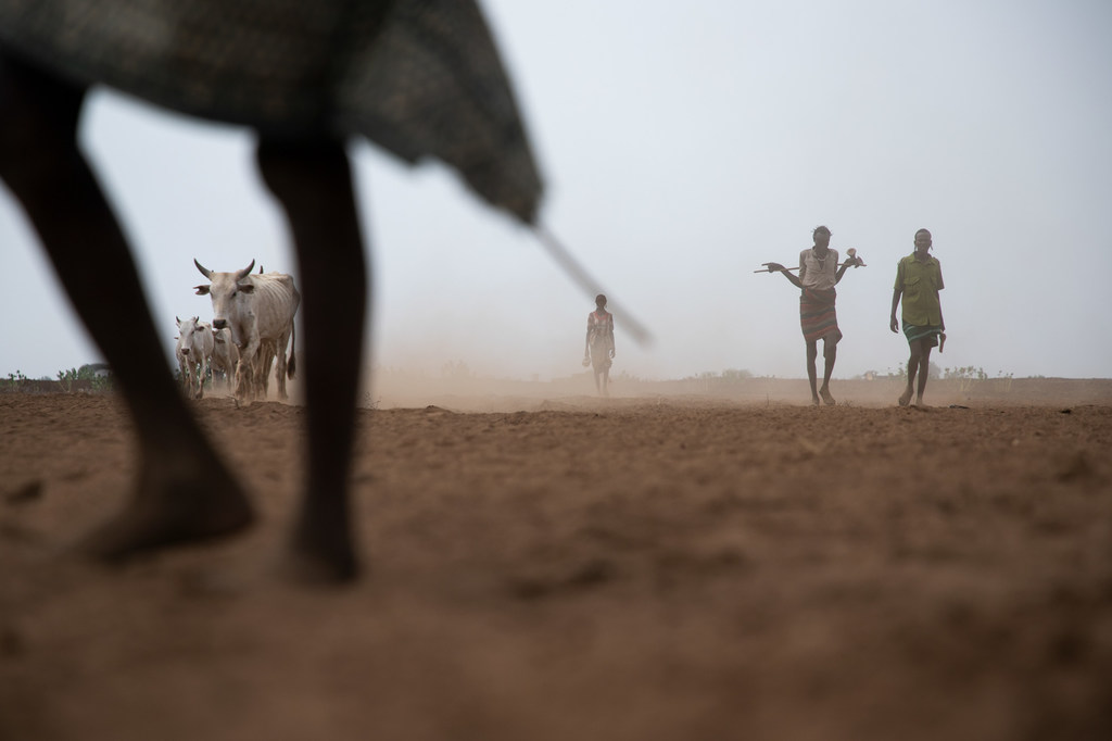 sequía en el Cuerno de África, situación de emergencia humanitaria