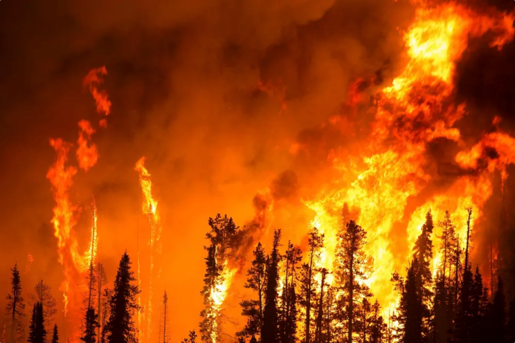 cuál es la relación entre incendios y cambio climático