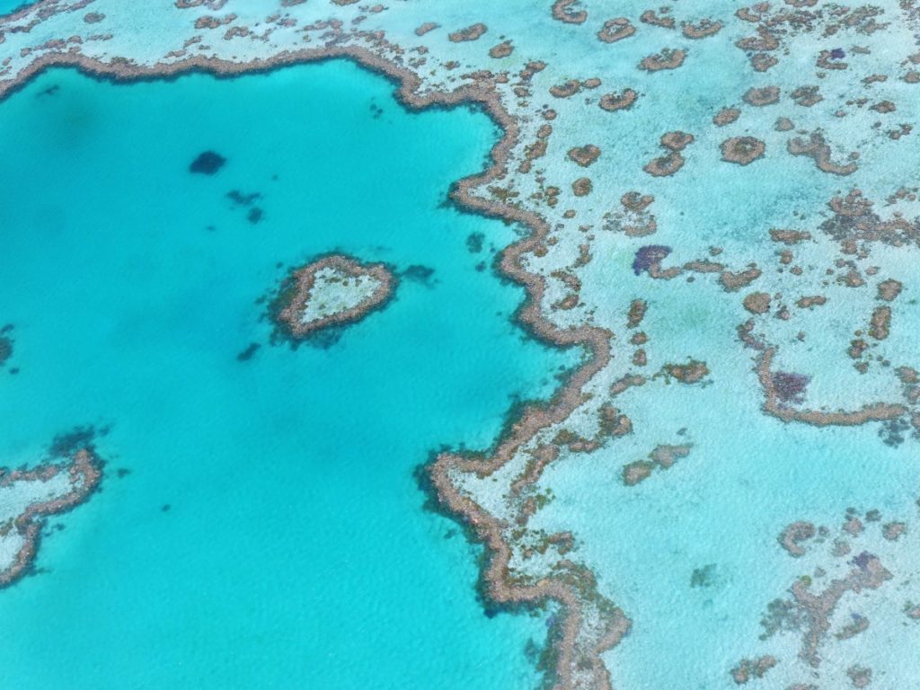 la recuperación de la gran barrera de coral de Australia
