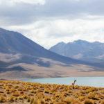 una imagen de un lugar seco de Chile para ilustrar el fin de El Niño